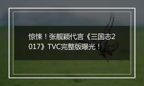 惊悚！张靓颖代言《三国志2017》TVC完整版曝光！