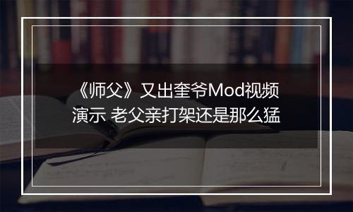 《师父》又出奎爷Mod视频演示 老父亲打架还是那么猛