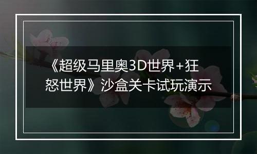 《超级马里奥3D世界+狂怒世界》沙盒关卡试玩演示
