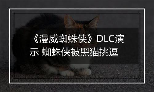 《漫威蜘蛛侠》DLC演示 蜘蛛侠被黑猫挑逗