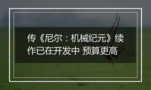 传《尼尔：机械纪元》续作已在开发中 预算更高