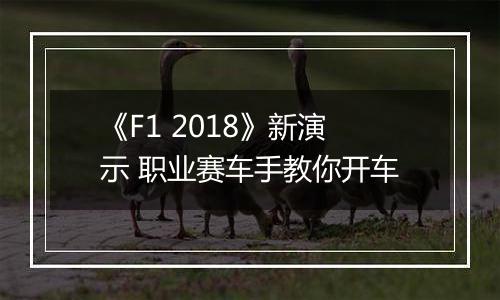 《F1 2018》新演示 职业赛车手教你开车