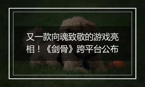 又一款向魂致敬的游戏亮相！《剑骨》跨平台公布