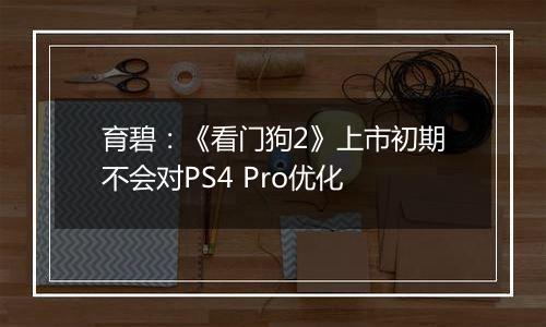 育碧：《看门狗2》上市初期不会对PS4 Pro优化