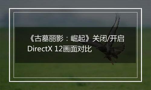 《古墓丽影：崛起》关闭/开启DirectX 12画面对比
