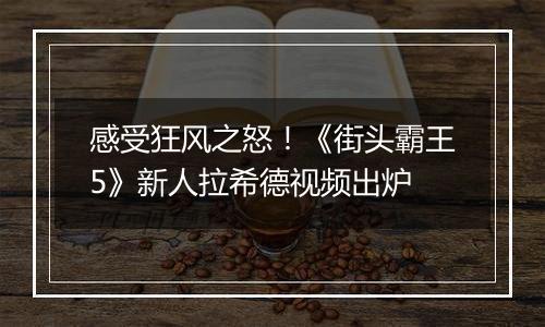 感受狂风之怒！《街头霸王5》新人拉希德视频出炉