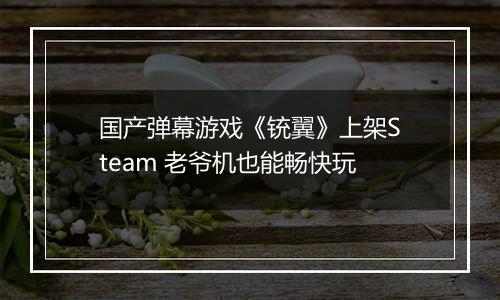 国产弹幕游戏《铳翼》上架Steam 老爷机也能畅快玩