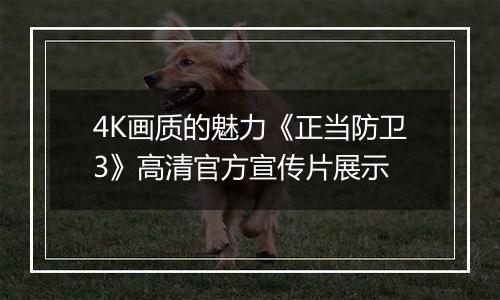 4K画质的魅力《正当防卫3》高清官方宣传片展示