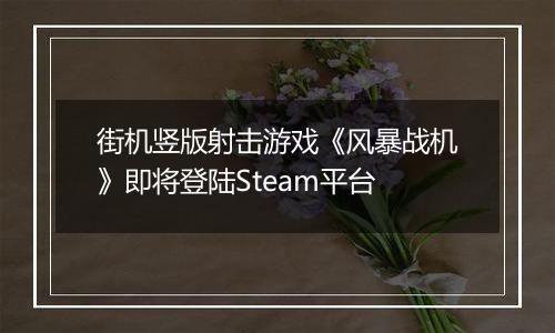 街机竖版射击游戏《风暴战机》即将登陆Steam平台