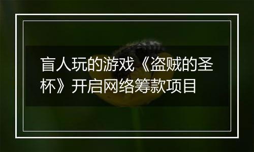 盲人玩的游戏《盗贼的圣杯》开启网络筹款项目
