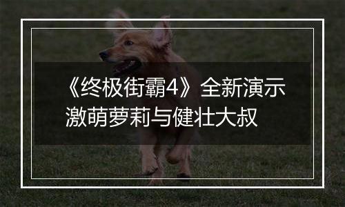 《终极街霸4》全新演示 激萌萝莉与健壮大叔