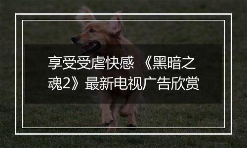 享受受虐快感 《黑暗之魂2》最新电视广告欣赏