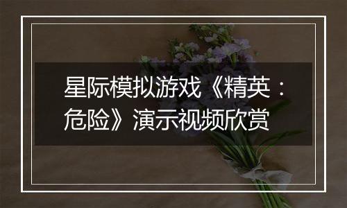 星际模拟游戏《精英：危险》演示视频欣赏