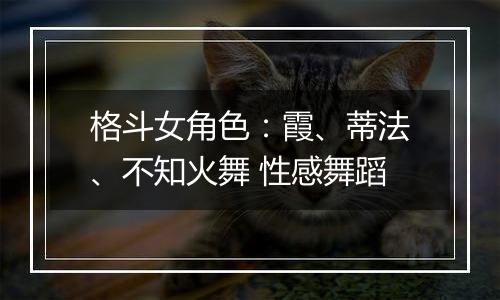 格斗女角色：霞、蒂法、不知火舞 性感舞蹈