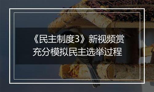 《民主制度3》新视频赏 充分模拟民主选举过程