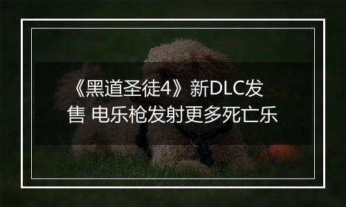 《黑道圣徒4》新DLC发售 电乐枪发射更多死亡乐