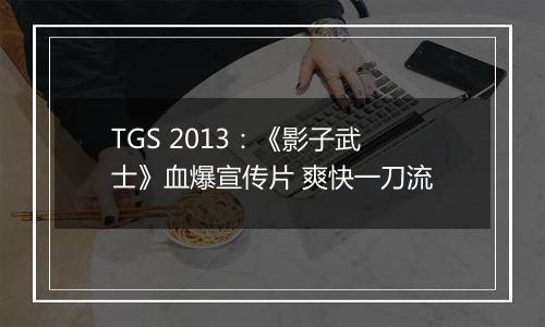 TGS 2013：《影子武士》血爆宣传片 爽快一刀流