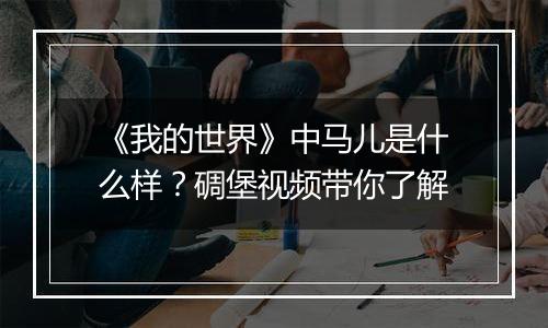 《我的世界》中马儿是什么样？碉堡视频带你了解