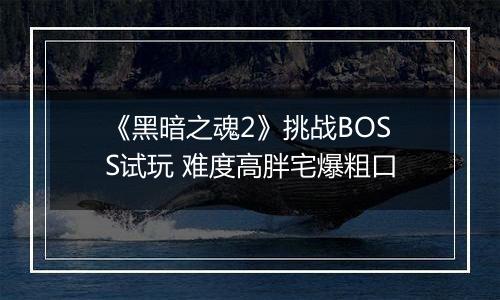 《黑暗之魂2》挑战BOSS试玩 难度高胖宅爆粗口