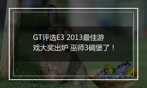 GT评选E3 2013最佳游戏大奖出炉 巫师3碉堡了！