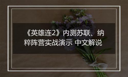 《英雄连2》内测苏联、纳粹阵营实战演示 中文解说