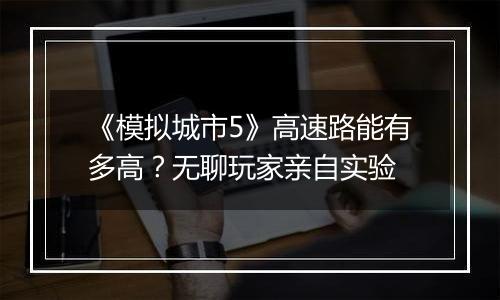 《模拟城市5》高速路能有多高？无聊玩家亲自实验