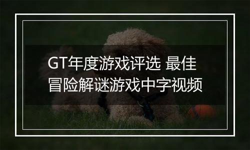 GT年度游戏评选 最佳冒险解谜游戏中字视频