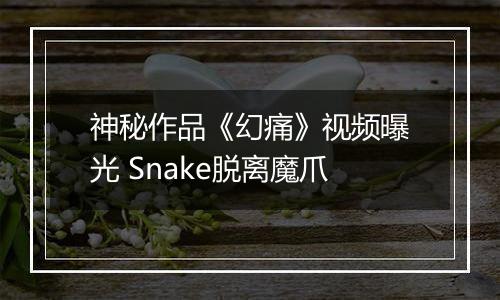 神秘作品《幻痛》视频曝光 Snake脱离魔爪