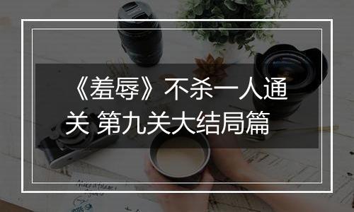 《羞辱》不杀一人通关 第九关大结局篇