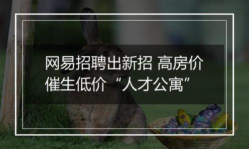 网易招聘出新招 高房价催生低价“人才公寓”