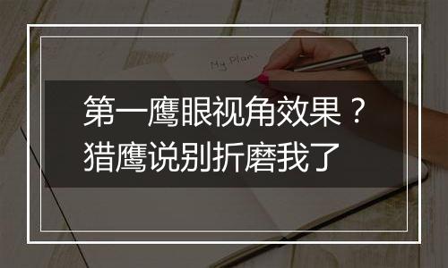 第一鹰眼视角效果？猎鹰说别折磨我了