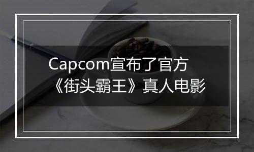Capcom宣布了官方《街头霸王》真人电影