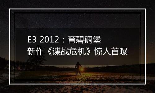 E3 2012：育碧碉堡新作《谍战危机》惊人首曝