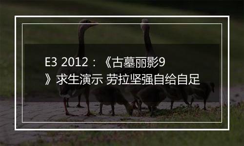 E3 2012：《古墓丽影9》求生演示 劳拉坚强自给自足