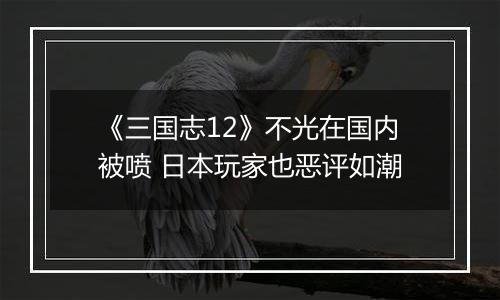 《三国志12》不光在国内被喷 日本玩家也恶评如潮