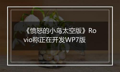 《愤怒的小鸟太空版》Rovio称正在开发WP7版