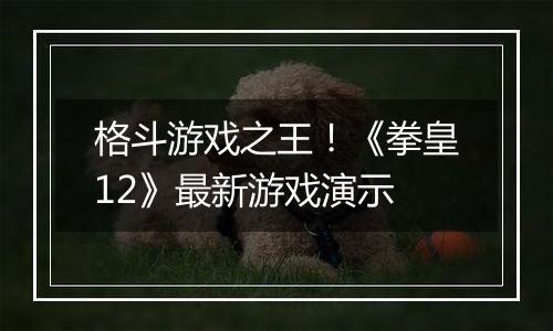 格斗游戏之王！《拳皇12》最新游戏演示