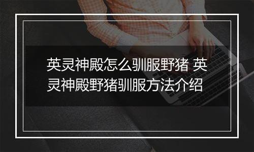 英灵神殿怎么驯服野猪 英灵神殿野猪驯服方法介绍