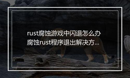 rust腐蚀游戏中闪退怎么办 腐蚀rust程序退出解决方法
