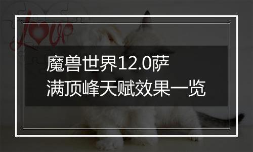魔兽世界12.0萨满顶峰天赋效果一览