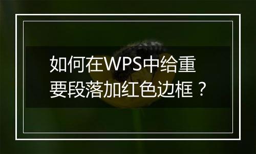 如何在WPS中给重要段落加红色边框？