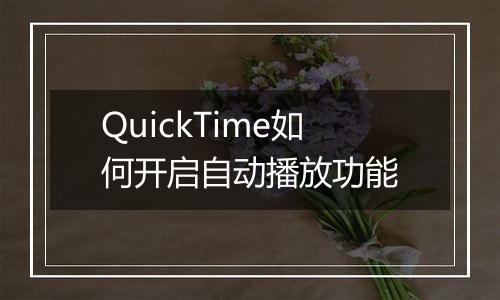 QuickTime如何开启自动播放功能