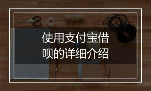 使用支付宝借呗的详细介绍
