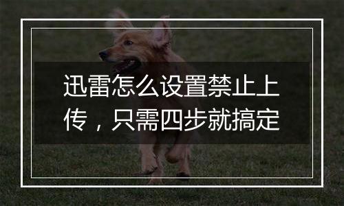 迅雷怎么设置禁止上传，只需四步就搞定