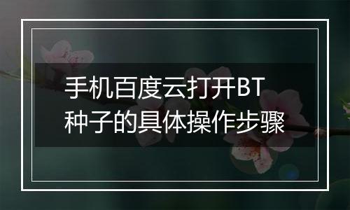 手机百度云打开BT种子的具体操作步骤