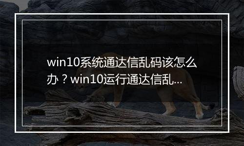win10系统通达信乱码该怎么办？win10运行通达信乱码的解决方法