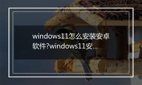 windows11怎么安装安卓软件?windows11安装安卓软件方法