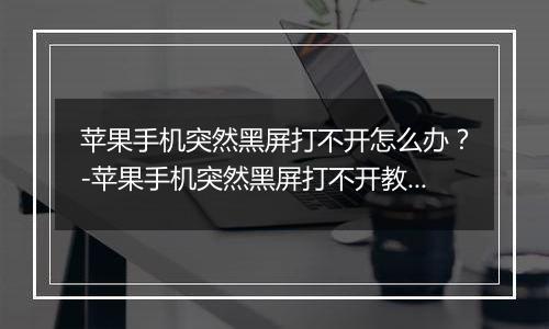 苹果手机突然黑屏打不开怎么办？-苹果手机突然黑屏打不开教程