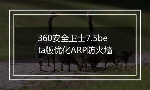 360安全卫士7.5beta版优化ARP防火墙