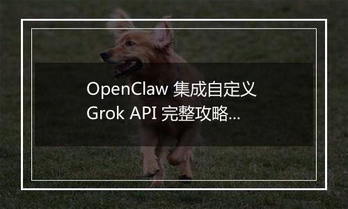 OpenClaw 集成自定义 Grok API 完整攻略(最新整理)